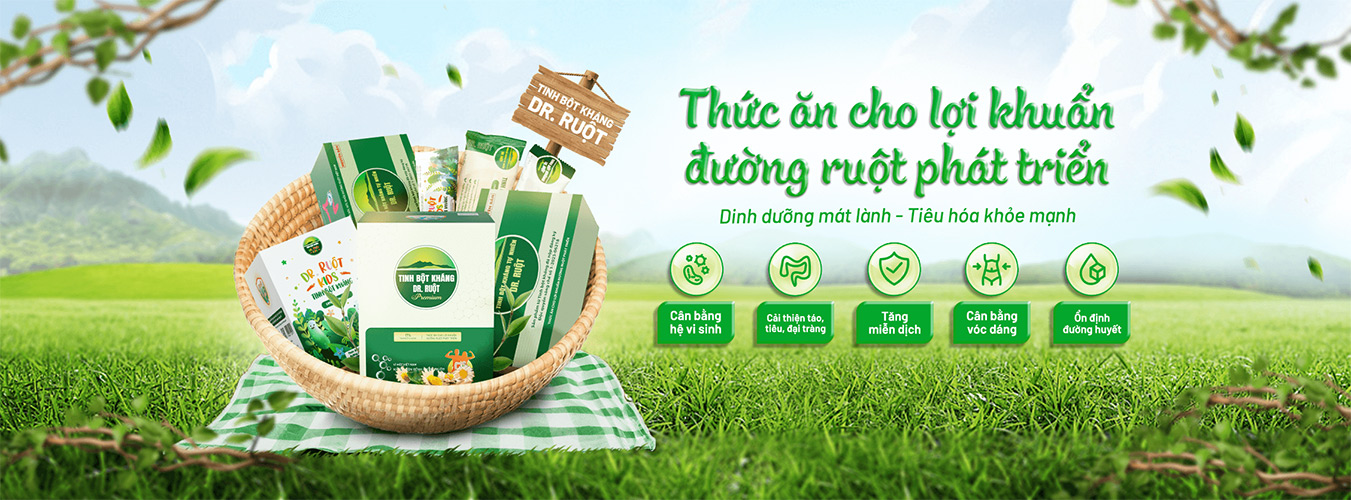 Tinh Bột Kháng Dr Ruột - Thức ăn cho vi khuẩn có lợi